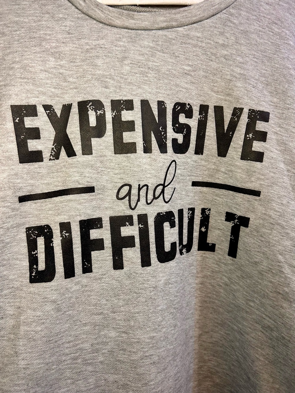 Women’s Fun gray sweatshirt featuring the phrase “Expensive and Difficult.”